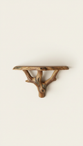 Tree-Branch Wall Shelf in Walnut