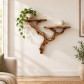 Minimalist Driftwood Branch Floating Shelf